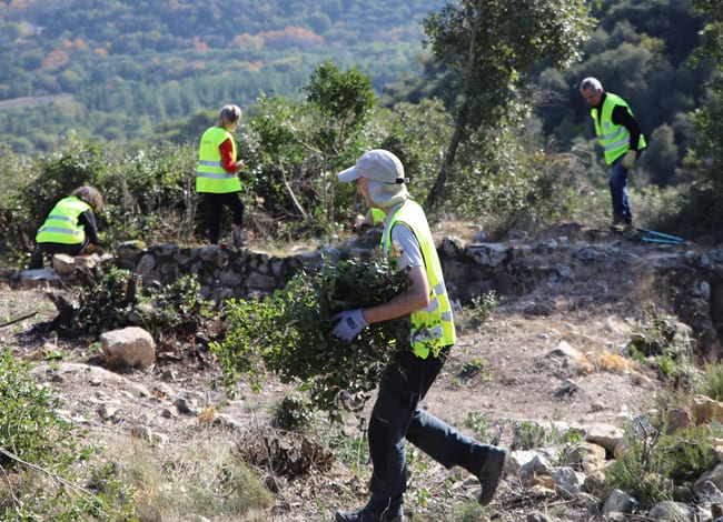 La Xarxa de Parcs Naturals té una llarga tradició de col·laboració amb voluntariat. Autor: XPN