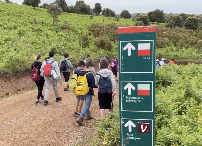 Grup d'alumnes realitzant una activitat d'educació ambiental al Parc Natural del Montseny. Autor: XPN