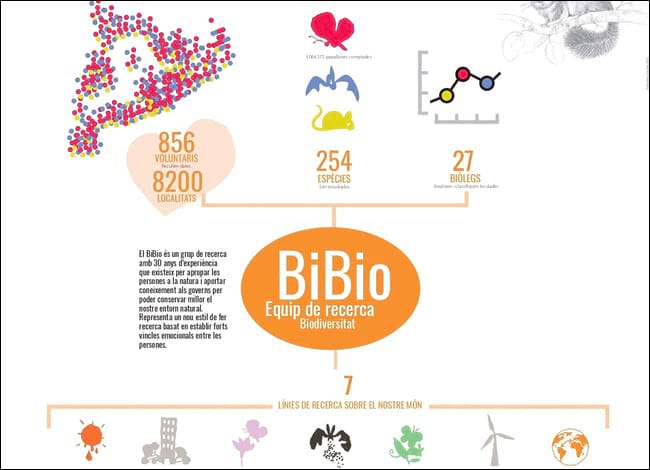 Esquema del Grup de Recerca en Biodiversitat i Bioindicadors (BiBio). Autor: MCNG