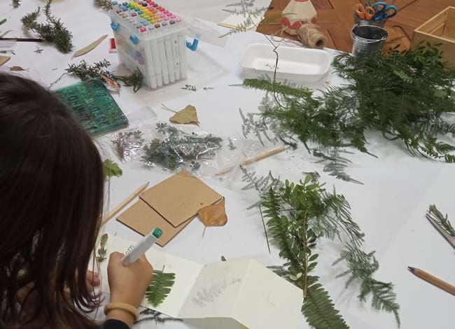 Taller de l'herbari a la Biblioteca de Palafolls. Autor: Biblioteca Enric Miralles de Palafolls