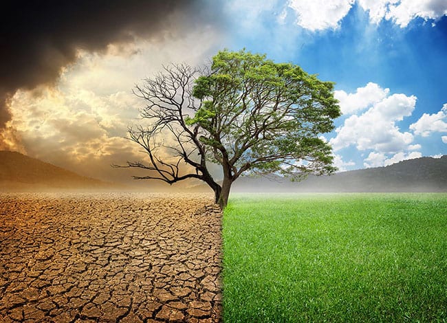 El nou programa estableix estratègies contra el canvi climàtic. Autor: Shutterstock