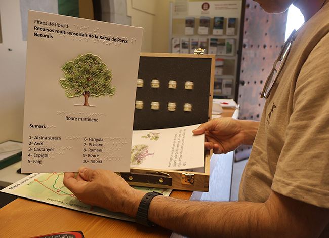 Revisió de recursos accessibles. Autor: Voltes Coop