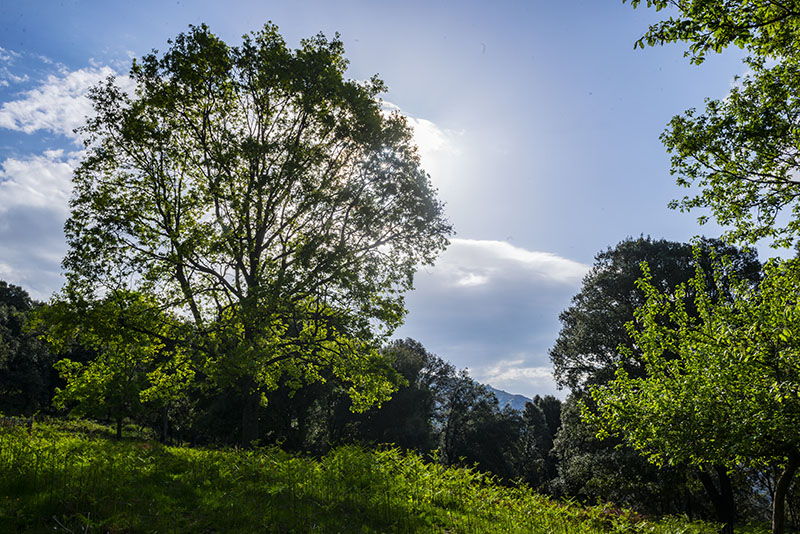 Amb motiu del Dia Mundial de la Salut, la Xarxa de Parcs Naturals posa en valor el paper dels espais naturals com a aliats essencials per a la salut pública. ©Iñaki Relanzón