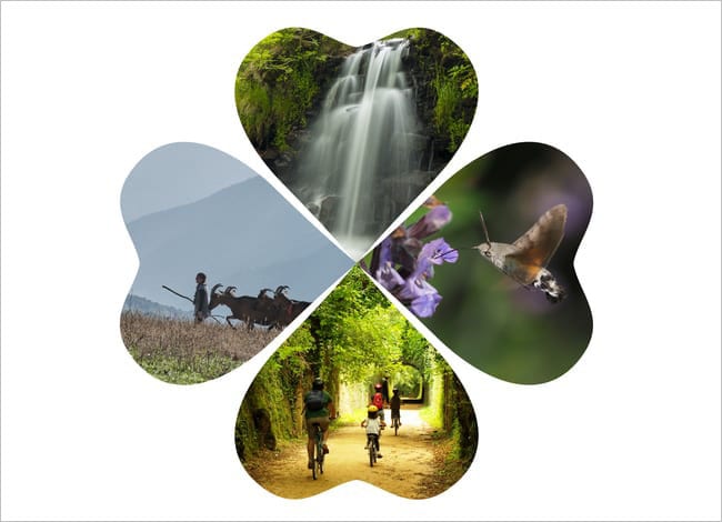 Un any més, es commemoren quatre efemèrides ambientals. Autor: #DocAmbCat