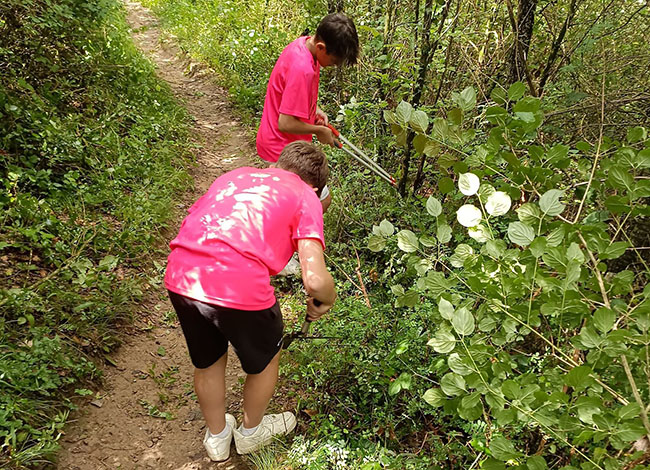 Joves duent tasques de manteniment i conservació a l'Espai Natural de les Guilleries-Savassona. Autoria: XPN