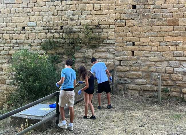 Els joves participants al camp de treball de Camp Tortí van millorar elements de la Domus de Bellpuig. © Anna Mimoso