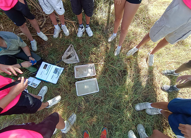 Els camps de treball se centren en l'educació ambiental. Autoria: XPN