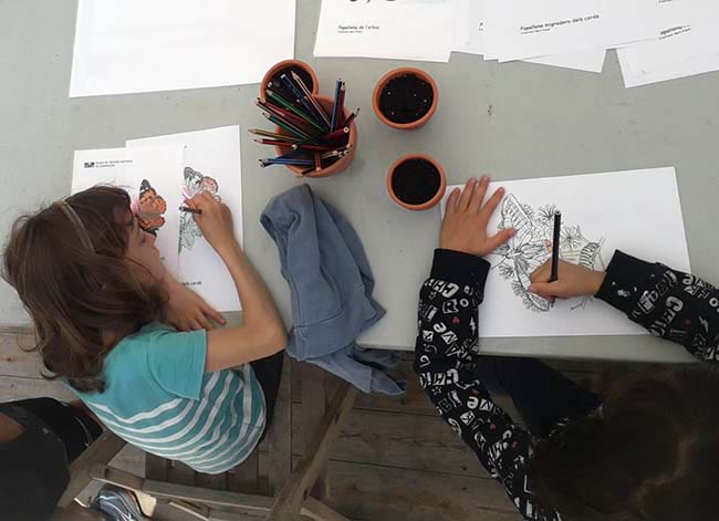 Taller de dibuix de papallones. Autor: Jordi Serrabasa