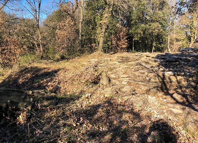 L'espai, un cop desbrossat. Autor: XPN