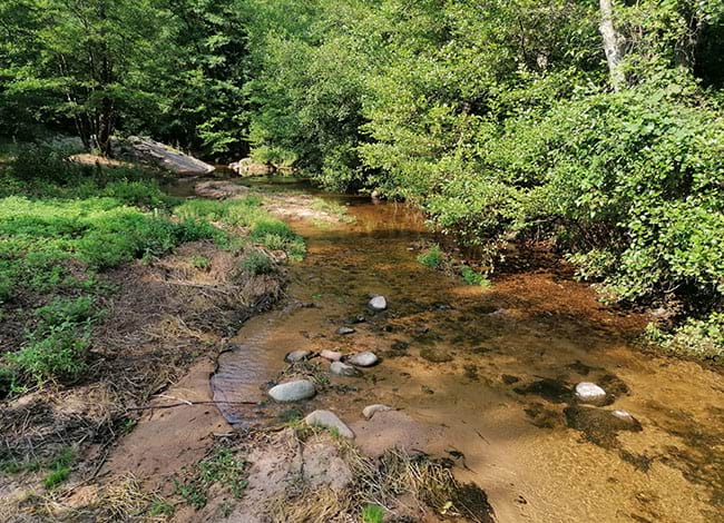 Riera Major. Autor: Laia Jiménez / CERM-UVic-UCC