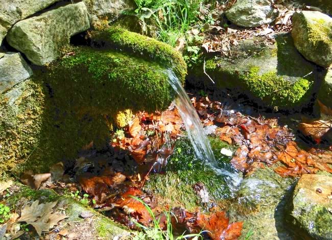 Font de la Riera, a Sant Julià de Vilatorta. Autor: Càtedra de l'Aigua, Natura i Benestar