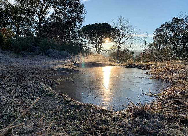 Les glaçades d'hivern han estat persistents. Autor: Bartomeu Mas