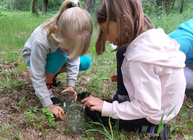 Actualment, participen en el programa quatre centres educatius. Autor: XPN