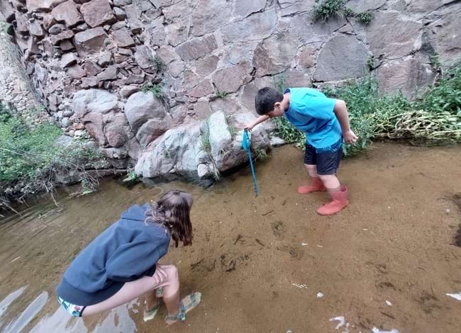 Les escoles han valorat molt positivament l'experiència. Autor: XPN