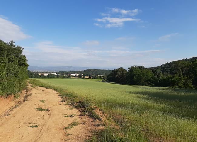 Les passejades comencen el 26 de febrer. Autor: XPN