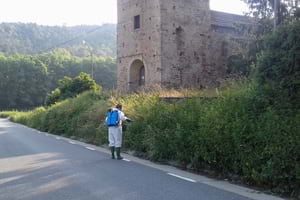 Tractament d'ailant. Autor: XPN