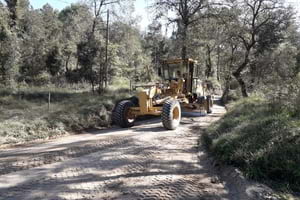 Millores als camins. Autor: XPN