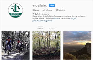 instagram.com/enguilleries