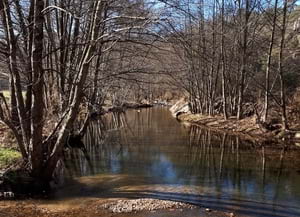 Tram de verneda de la riera Major. Autor: XPN