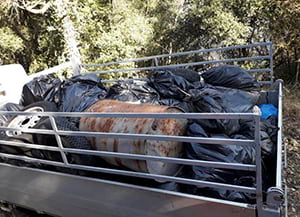 Deixalles recollides. Autor: XPN