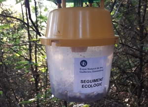 Trampa a les Guilleries-Savassona. Autor: XPN