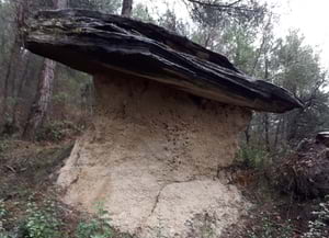 'Bolet de pedra' (Tavèrnoles). Autor: XPN
