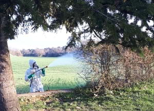 Tractament amb 'Bacillus thuringiensis'. Autor: XPN