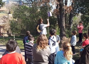 Seguiment de les capses niu. Autor: XPN