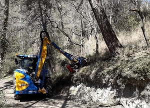 Tractor forestal. Autor: XPN