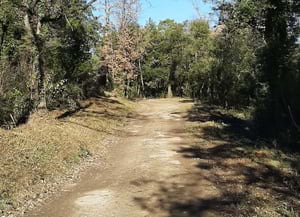 Camí arranjat. Autor: XPN