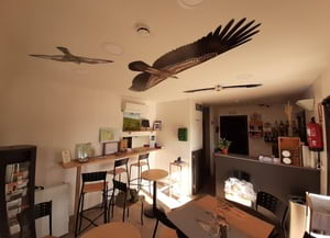 Punt d'informació. Autor: XPN