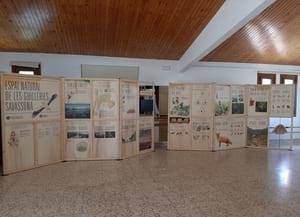 Detall de la mostra. Autor: XPN