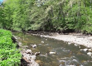 Les Guilleries. Autor: Carles Castell