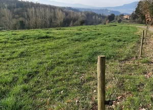 Espai Natural de les Guilleries-Savassona. Autor: XPN