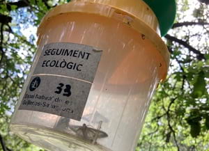 Una de les trampes utilitzades. Autor: XPN