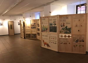 Plafons de la mostra. Autor: Bartomeu Mas / XPN