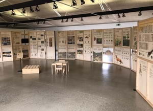 Plafons de la mostra itinerant al Museu del Ter.<br />Autor: XPN