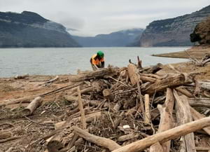 Recollida de troncs i restes vegetals a l'Àrea<br />d'esplai del pantà de Sau. Autor: XPN