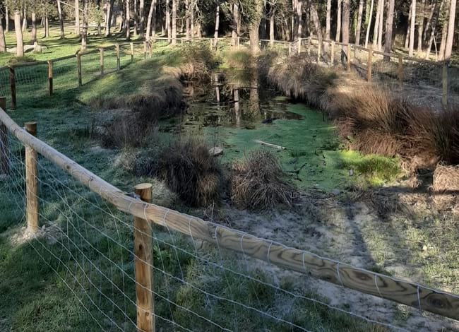 Detall d'una de les basses. Autor: XPN