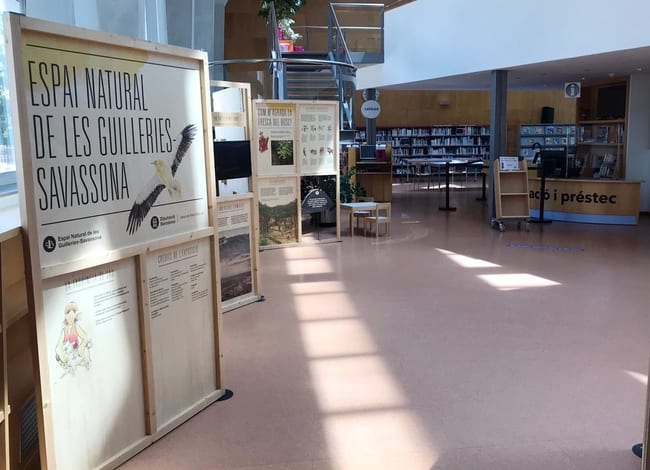 Detall de l'exposició a la Biblioteca Antoni Pladevall de Taradell. Autor: XPN