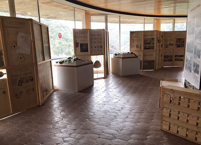 L'exposició al Centre d'Informació de Vilanova de Sau. Autor: XPN