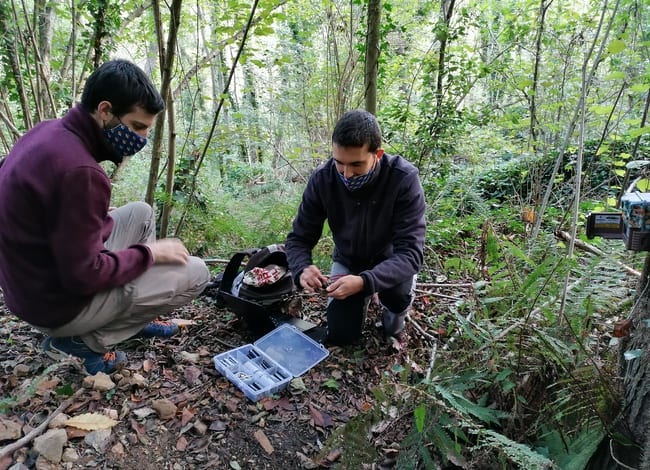 Fototrampeig per fer el seguiment de carnívors. Autor: Marc Ordeix / Càtedra de l'Aigua, Natura i Benestar