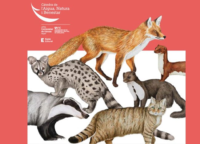 Imatge de la portada del llibre. Autor: Càtedra de l'Aigua, Natura i Benestar