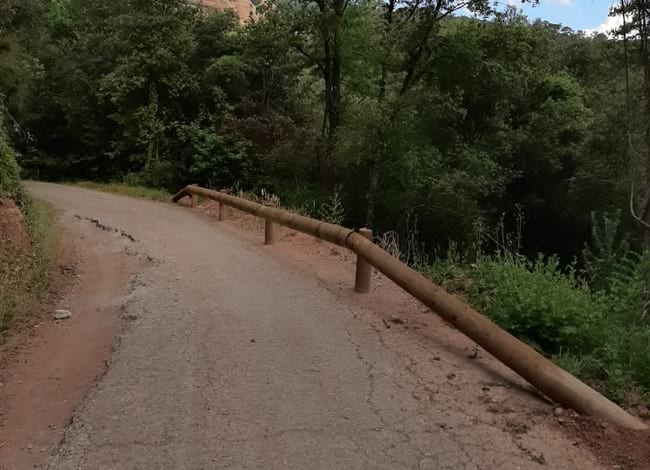 Biondes instal·lades al camí del Parador, a Vilanova de Sau. Autor: XPN