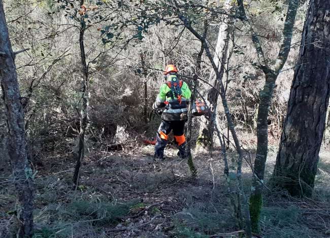 Actuació de millora forestal. Autor: XPN