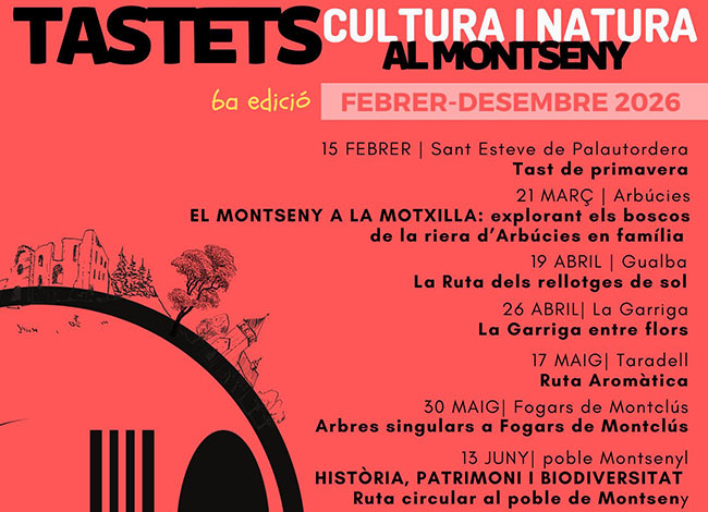 Imatge del cartell de la sisena edició dels