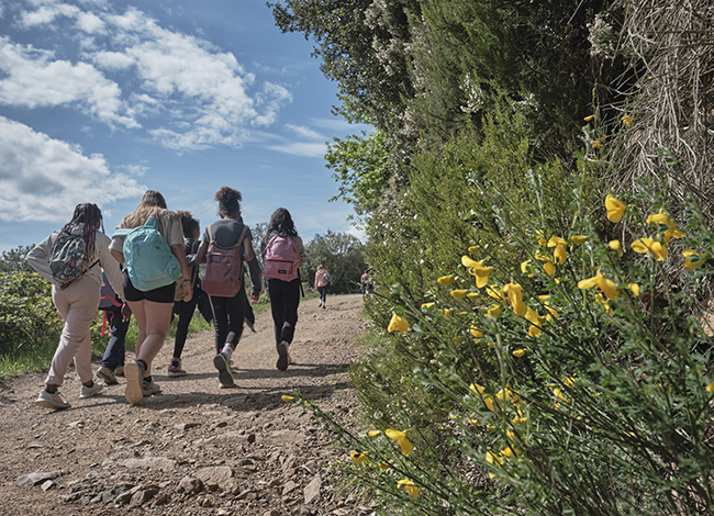 Activitat d'educació ambiental duta a terme al Parc Natural del Montseny. © Oriol Clavera
