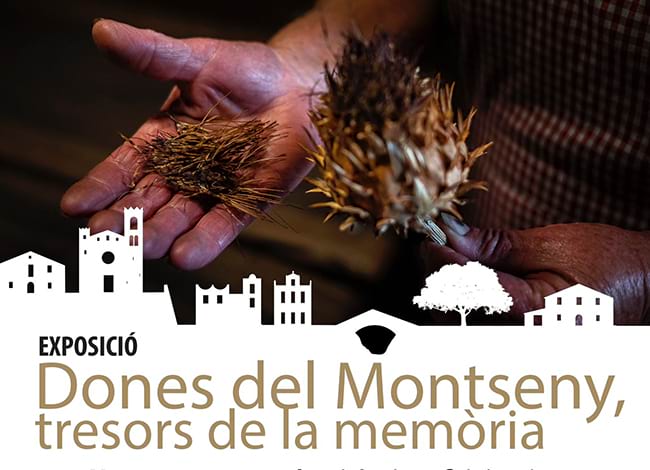 Imatge gràfica de l'exposició