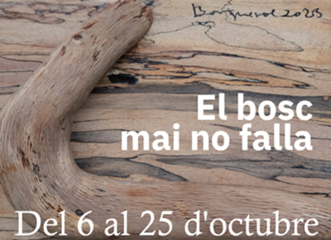 L'exposició "Forest Art" es pot visitar del 6 al 25 d'octubre. © Museu Etnològic del Montseny. La Gabella