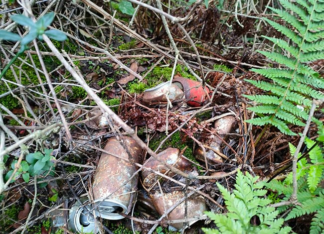 Deixalles al Parc Natural i Reserva de la Biosfera del Montseny. Autor: Turisme Montseny